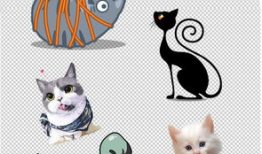 动漫猫猫,动漫世界的奇幻冒险之旅